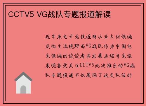 CCTV5 VG战队专题报道解读