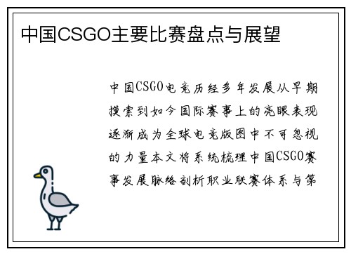 中国CSGO主要比赛盘点与展望